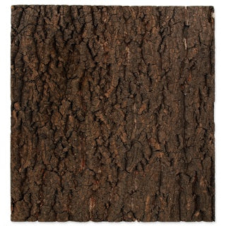 Repti Planet Cork Background 45x45cm