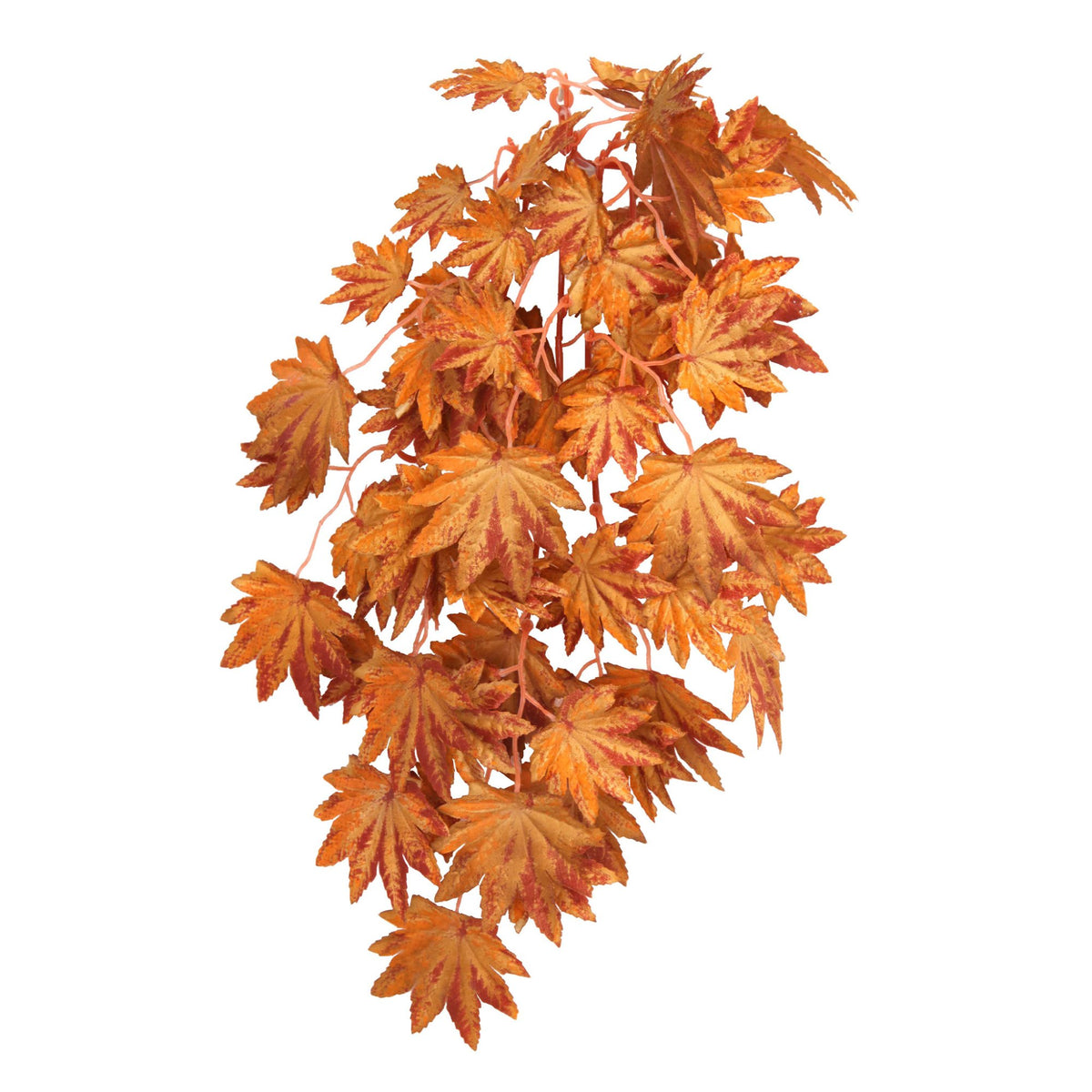 Betta Terra Orange Terrarium Vine 37cm