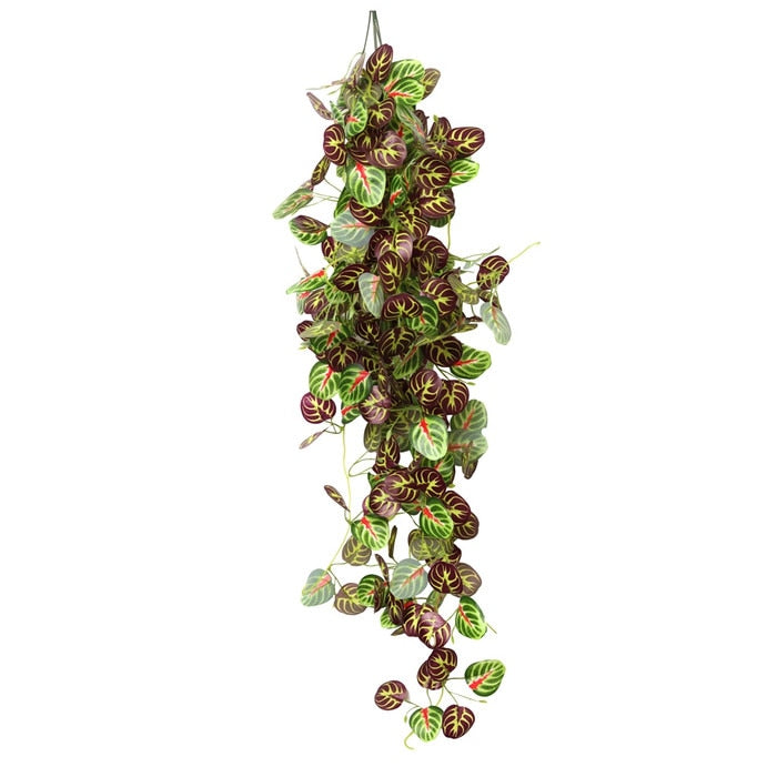 HabiStat Plus Hanging Vine 100cm