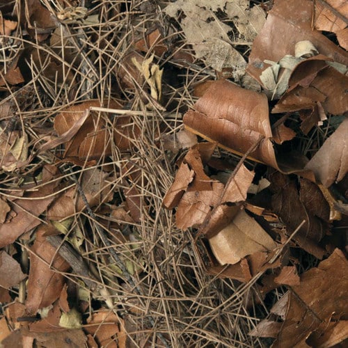 HabiStat Leaf Litter Forest Floor 5L