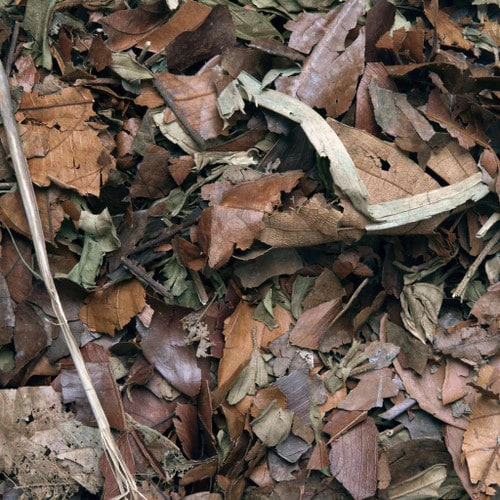 HabiStat Leaf Litter Mixed 5L