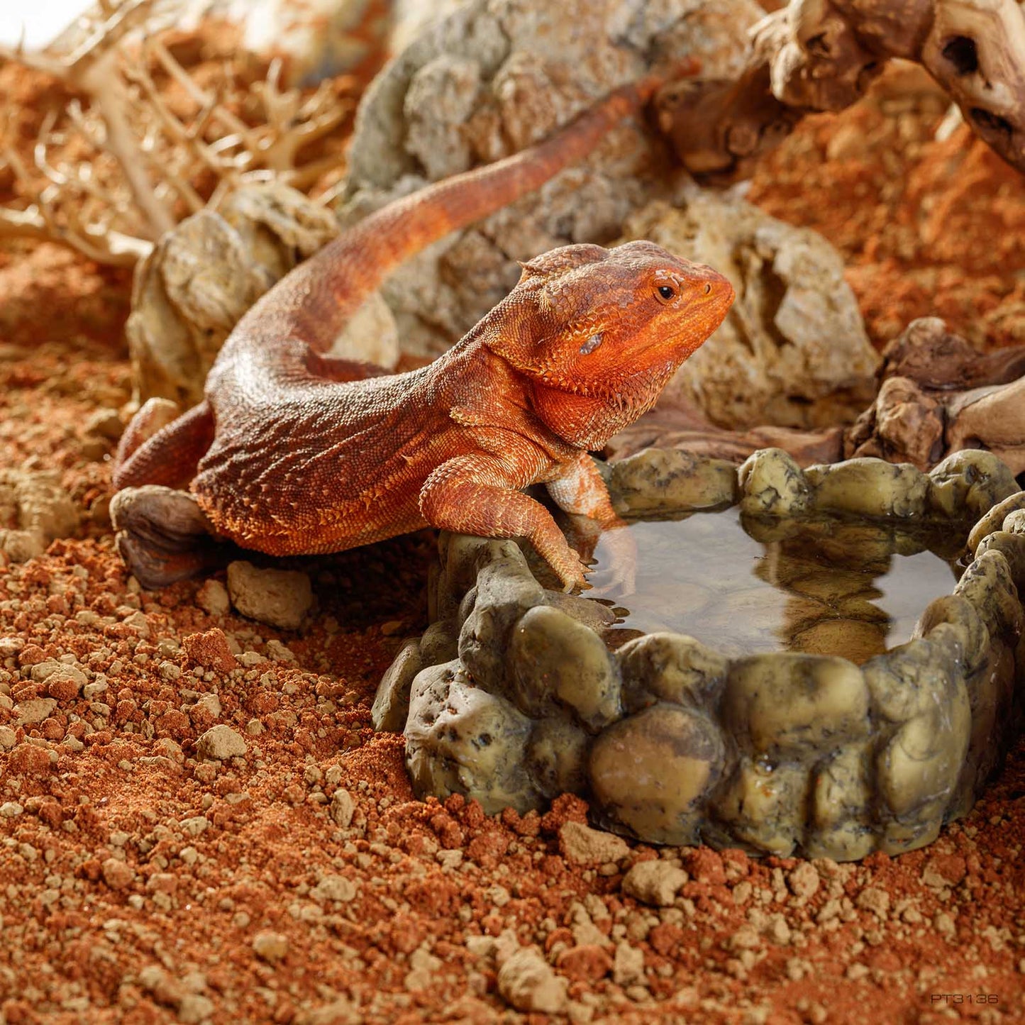 Exo Terra Red Stone Desert Substrate 10kg