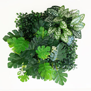 Betta Terra Monstera Plant Mat/Background 25x25cm