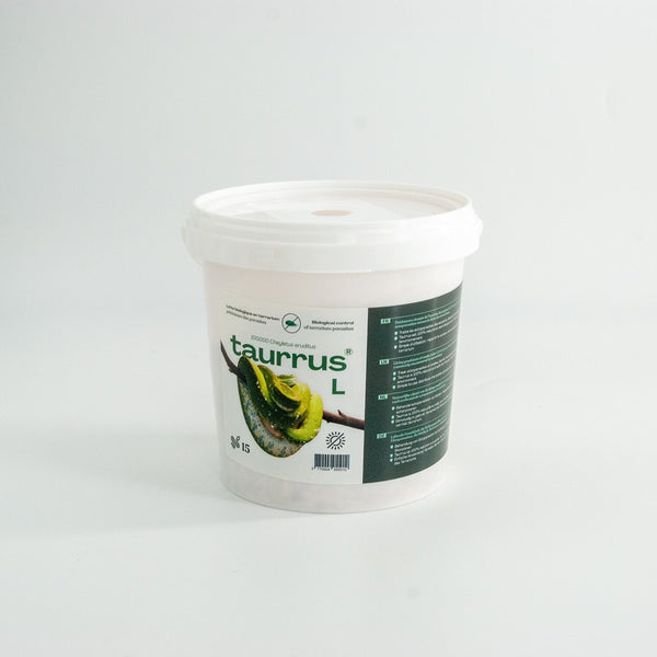 Taurrus Predatory Mites