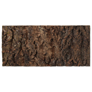 Repti Planet Cork Background 50.5x25cm