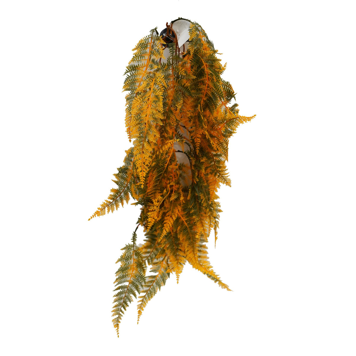 Betta Terra Green Yellow Fern Suction Cup 70cm