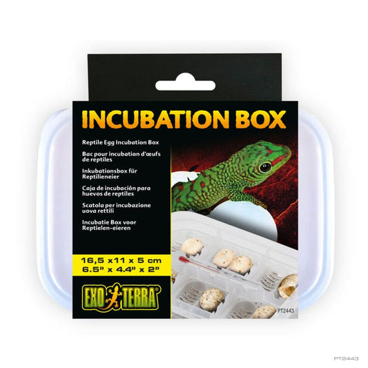 Exo Terra Incubation Box