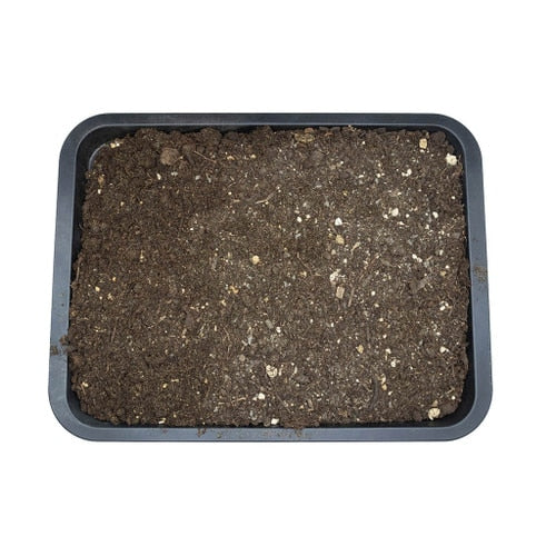 Arcadia EarthMix 10 Litre Prairie