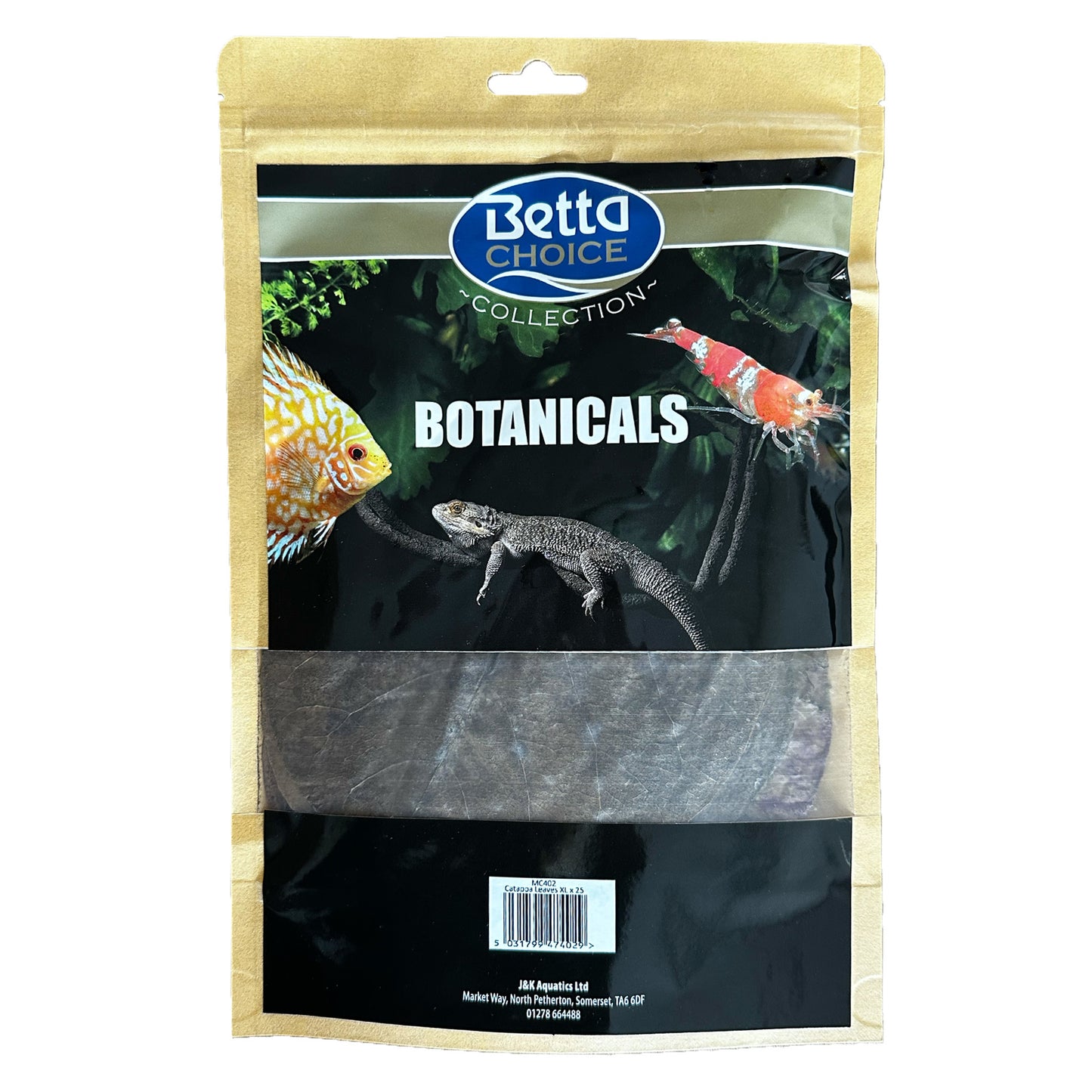 Betta Choice Catappa Leaves