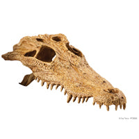 Exo Terra Crocodile Skull