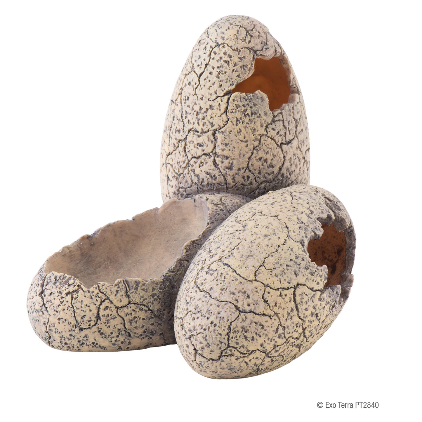 Exo Terra Dinosaur Eggs Small