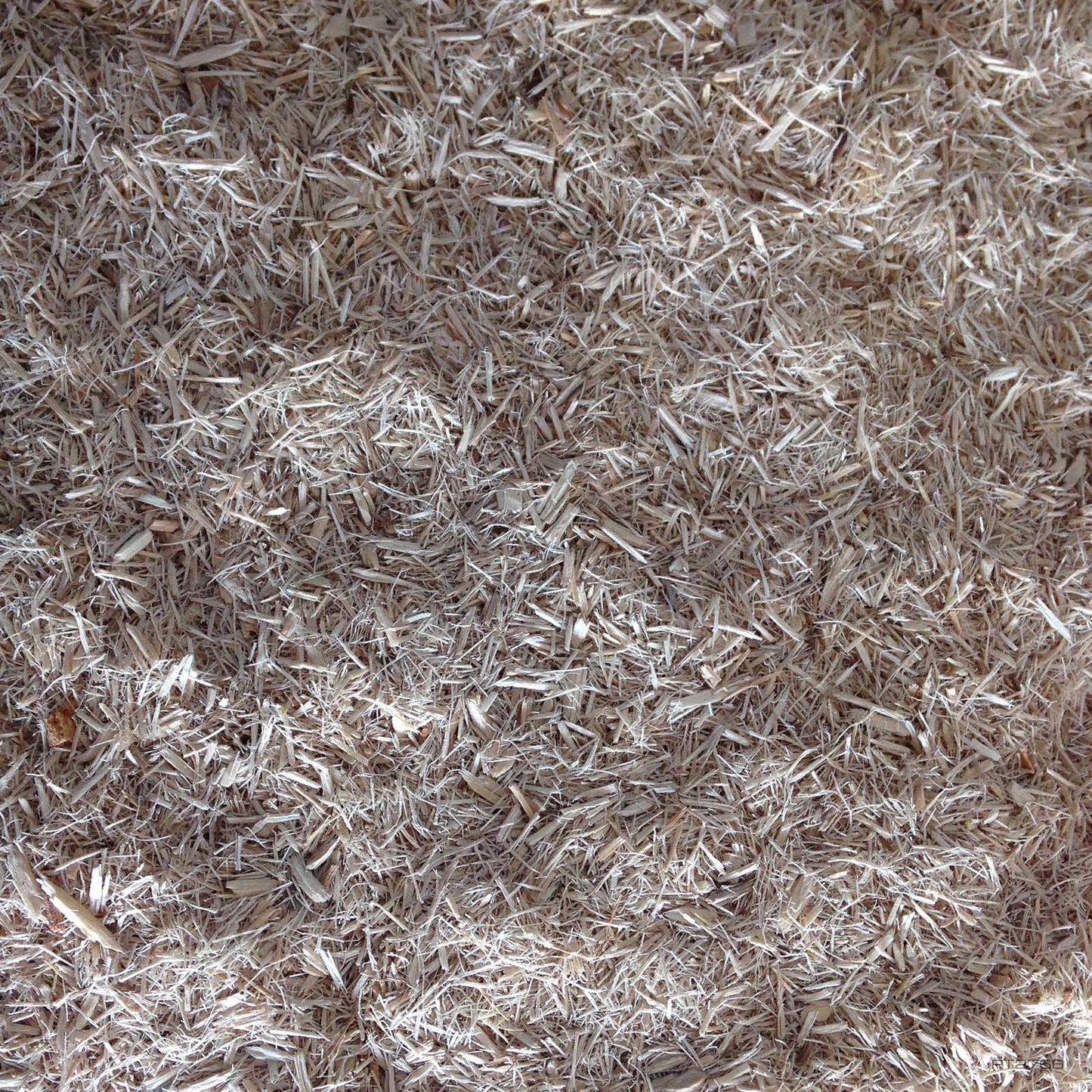 Exo Terra Snake Bedding