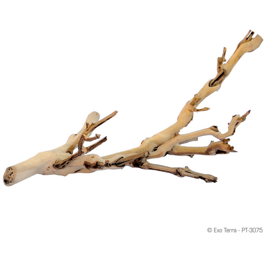 Exo Terra Forest Branch - Sandblasted Grapevine