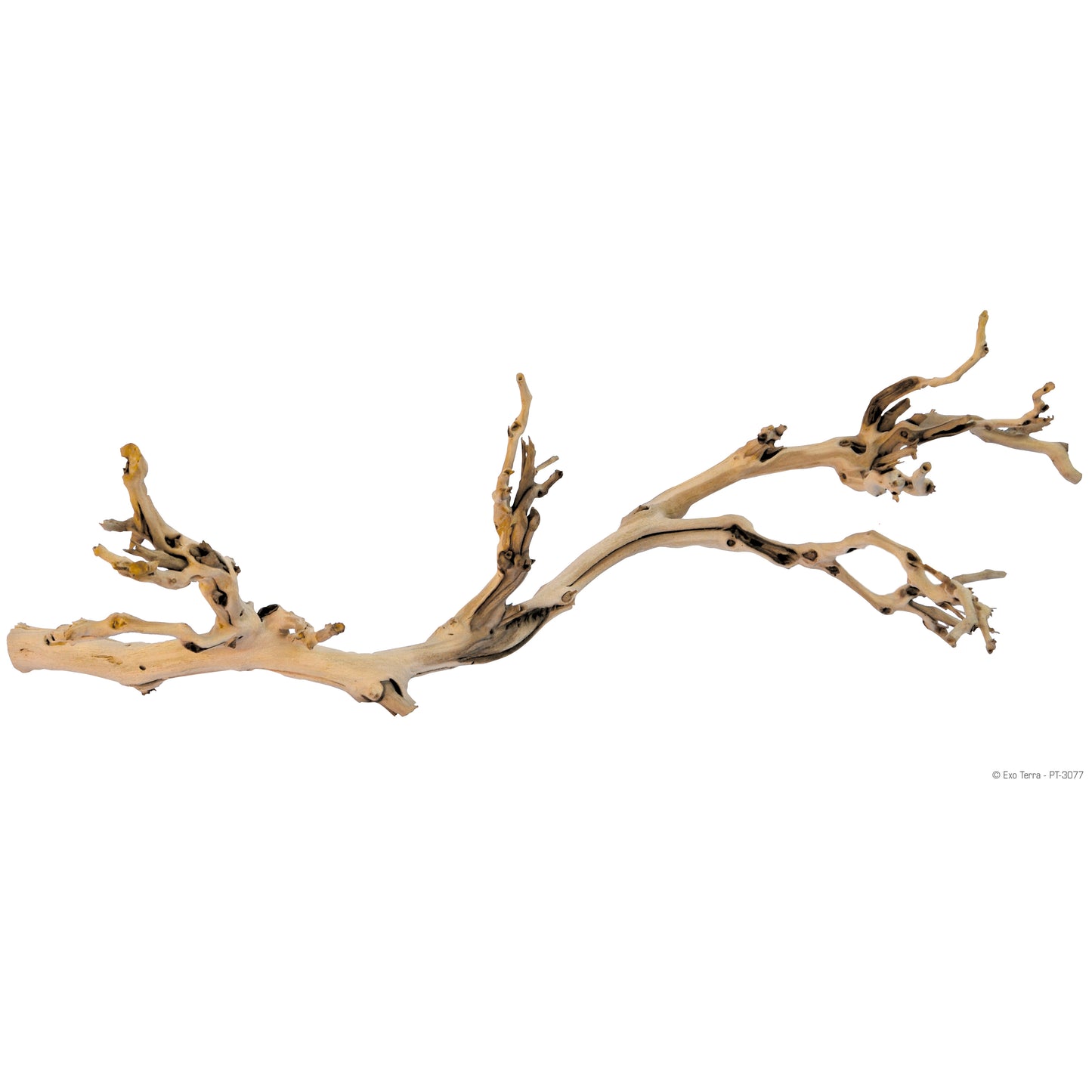 Exo Terra Forest Branch - Sandblasted Grapevine