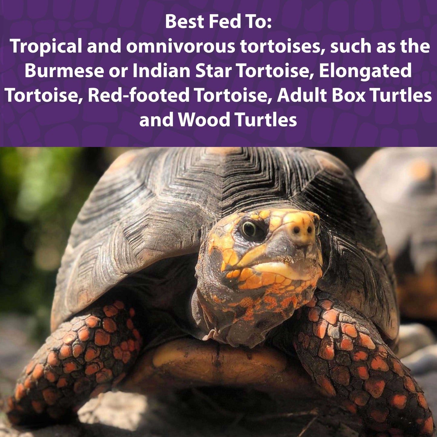 Mazuri Forest And Tropical Tortoise Diet 566g