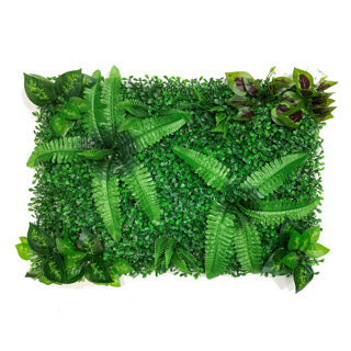 Betta Terra Twin Fern Mat/Background 40x60cm