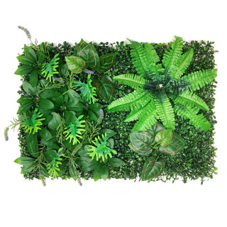 Betta Terra Sword Fern Mat/Background 40x60m