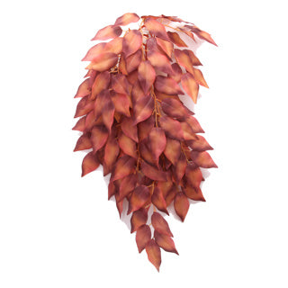 Betta Terra Red Terrarium Vine 37cm