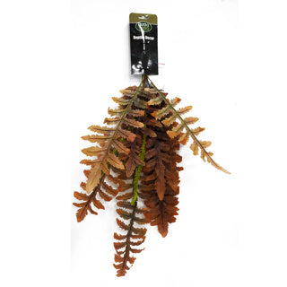 Betta Terra Orange Fern With Suction Cup 85cm
