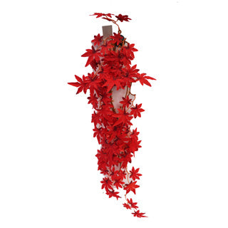 Betta Terra Red Star Vine 70cm