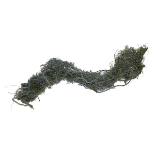 Betta Terra Spiral Moss Vine 69cm