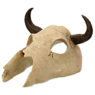 Repti Planet Buffalo Skull