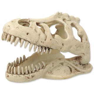 Repti Planet T-Rex Skull