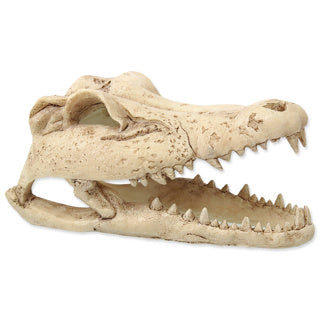 Repti Planet Crocodile Skull