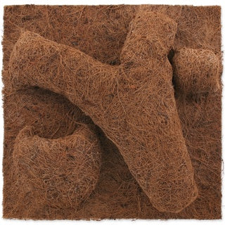 Repti Planet Coco Planter
