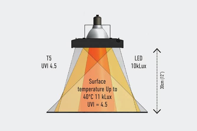 Arcadia Thermal ZooPro T5